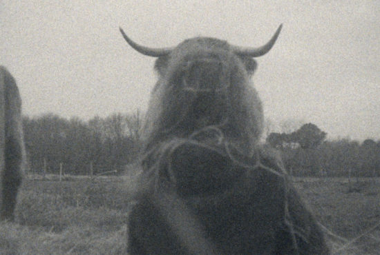 1-Still-Poster-(3)—Alejo-Duclós