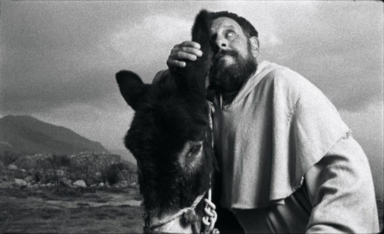 1753189397435—True-Colours