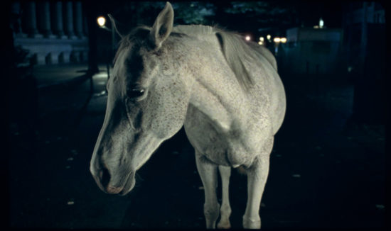 3.-EL-REGALO_Lara-Izagirre—Alejo-Duclós