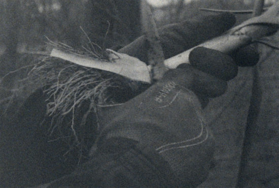 4-Still—Alejo-Duclós