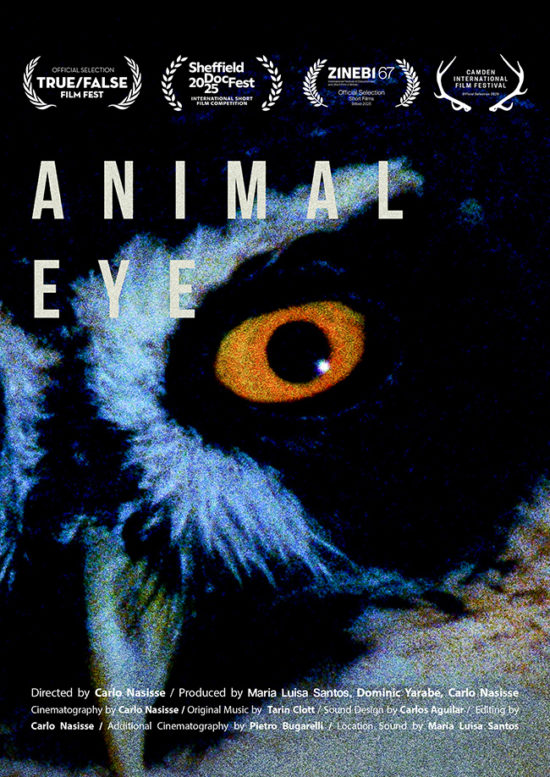 Animal-EyePoster20250926-Zinebi—Luisa-Santos
