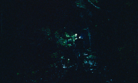 AnimalEyeSheffield-(1-of-1)-2—Luisa-Santos