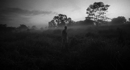 As-if-to-Nothing—Still-2—Sofia-Tocari