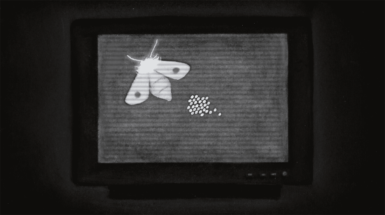 Captura de Pantalla 2024-10-16 a la(s) 10.46.12