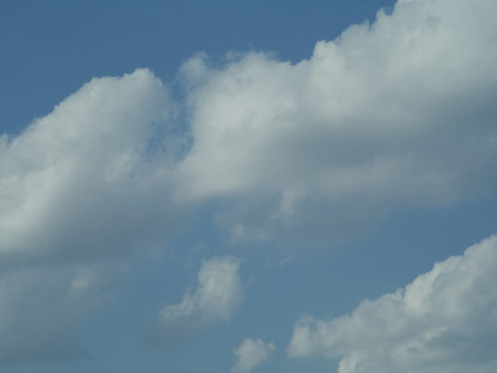 DEVELOPED_still04—Yunhui-Yang