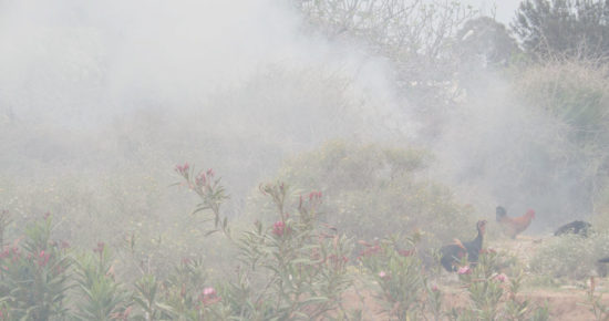 EDIT-8.2_Sin-palabras.00_00_12_01.Imagen-fija003—Alba-L.-G.