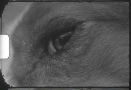 EL-CAMINO-A-CASA—Ceci-Romero-(2024).00_00_11_14.Imagen-fija001—Cecilia-Romero