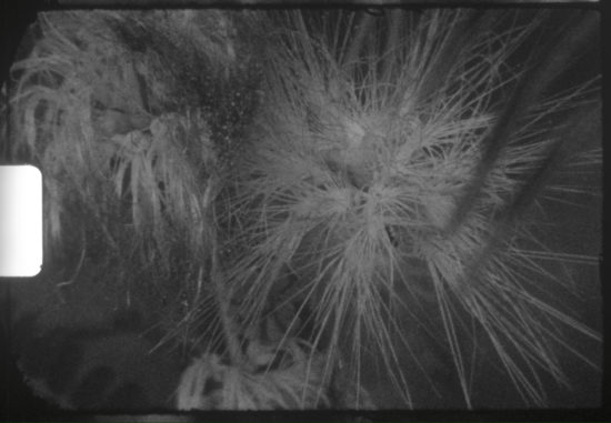 EL-CAMINO-A-CASA—Ceci-Romero-(2024).00_00_22_01.Imagen-fija004—Cecilia-Romero