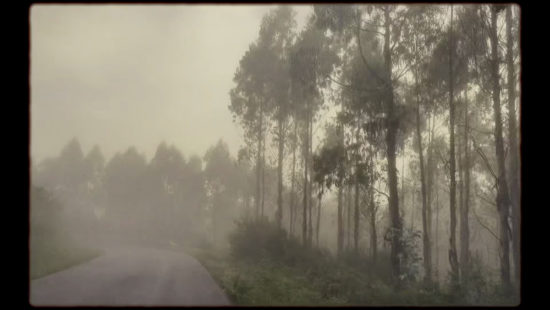 Estrada-Neboa-Arbores—Fon-Cortizo