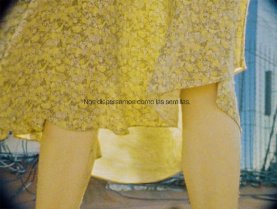 FOTOGRAMA1—Anais-CordovaPaez