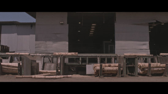 Fotograma1-Zinebi—Labografías-Nodos-de-Expresión