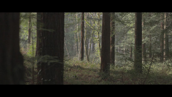 Fotograma2-Zinebi—Labografías-Nodos-de-Expresión