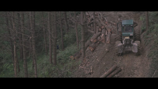 Fotograma4-Zinebi—Labografías-Nodos-de-Expresión