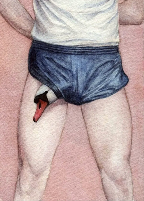 Fotograma_Pajarracos