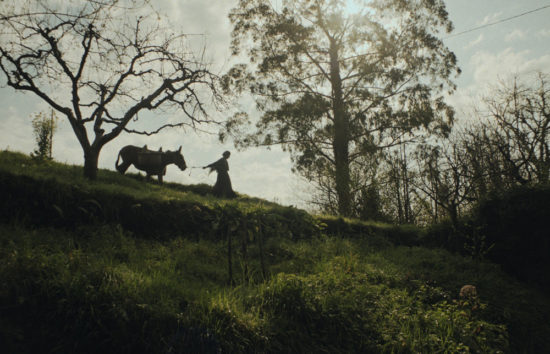 Frames-Zezena-eta-umea-5—Miriam-Bou