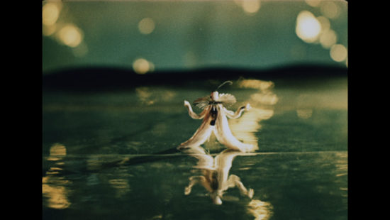 INSPIRACE_4000633_00-06-34-08