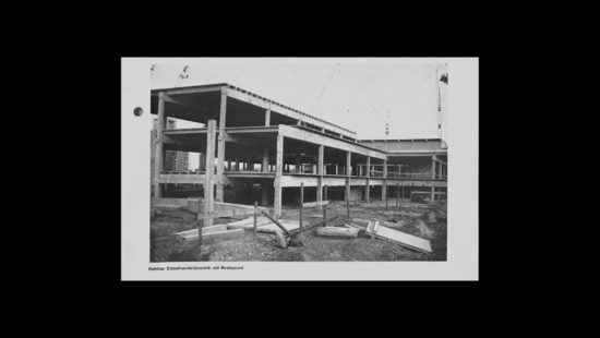 In-Retrospect—Still-1—Sofia-Tocari