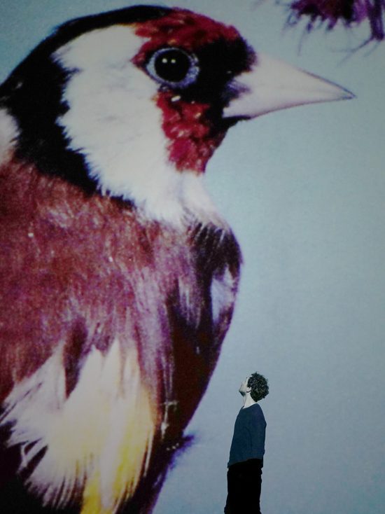 IvanTorres5 – Iván T