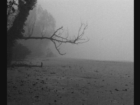 LOCASDELATICO_still_1 – Mónica Gallego
