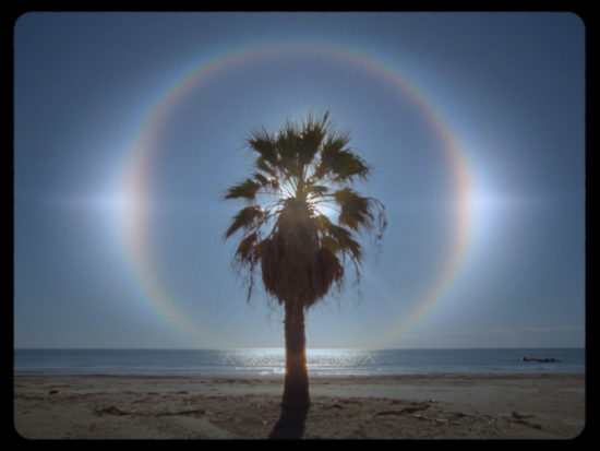 Last-Tropics_Still-1—Lights-On