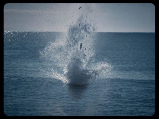 Last-Tropics_Still-3—Lights-On