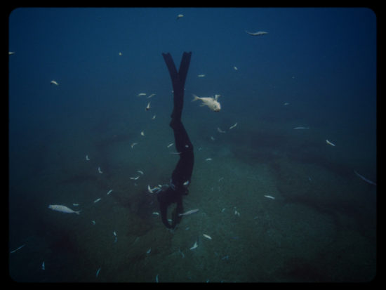 Last-Tropics_Still-4—Lights-On