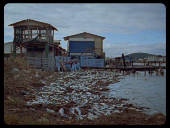 Last-Tropics_Still-5—Lights-On