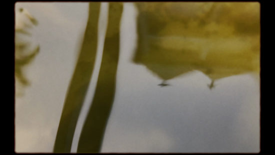 Reflexo-auga—Fon-Cortizo