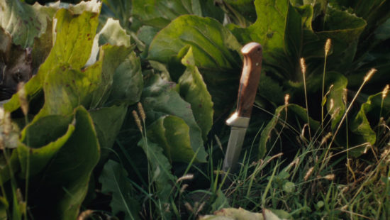 Späternte_LateHarvest_still_00006—Kath-Hub