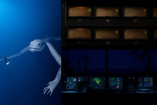 Sperm-Whale-Monitoring—Silvia-Dal-Dosso