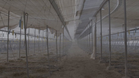 Still10—Jon-Arrospide