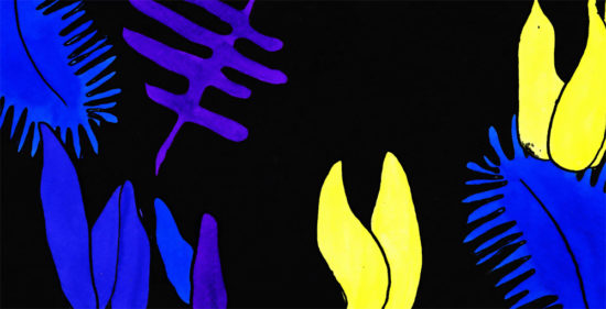 Still_1—Miyu-Distribution