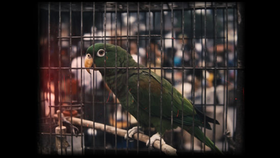 Still_10—anna-giralt-gris