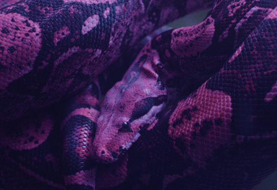 Travelling_BOA-2025_Stills_05—Pierre-Brouillette-Hamelin