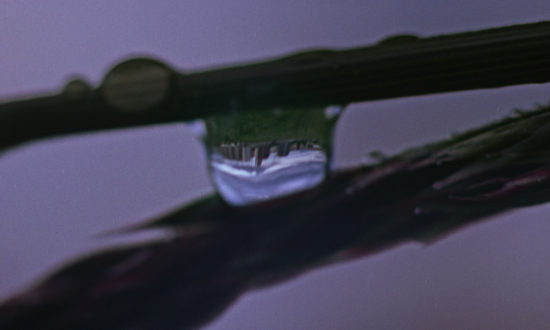 UYOE_STILL_3—Júlia-Izaguirre