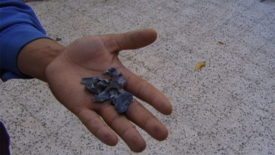 WHIG_VoStEng_7_july_2025_Rec709_gamma2.4_No_mix.00_50_07_18.Still017—Flavia-Mazzarino