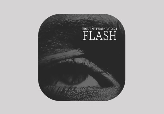 ZINEBI66_BANNER_FLASH