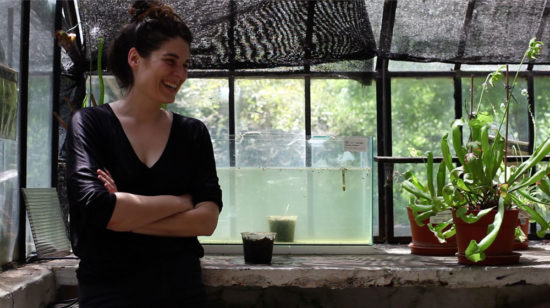 candelasotos—Candela-Sotos