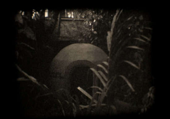 las_manchas_del_jaguar1—Alejo-Duclós