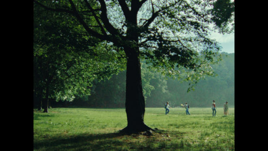 still-1—Assistant-Collet